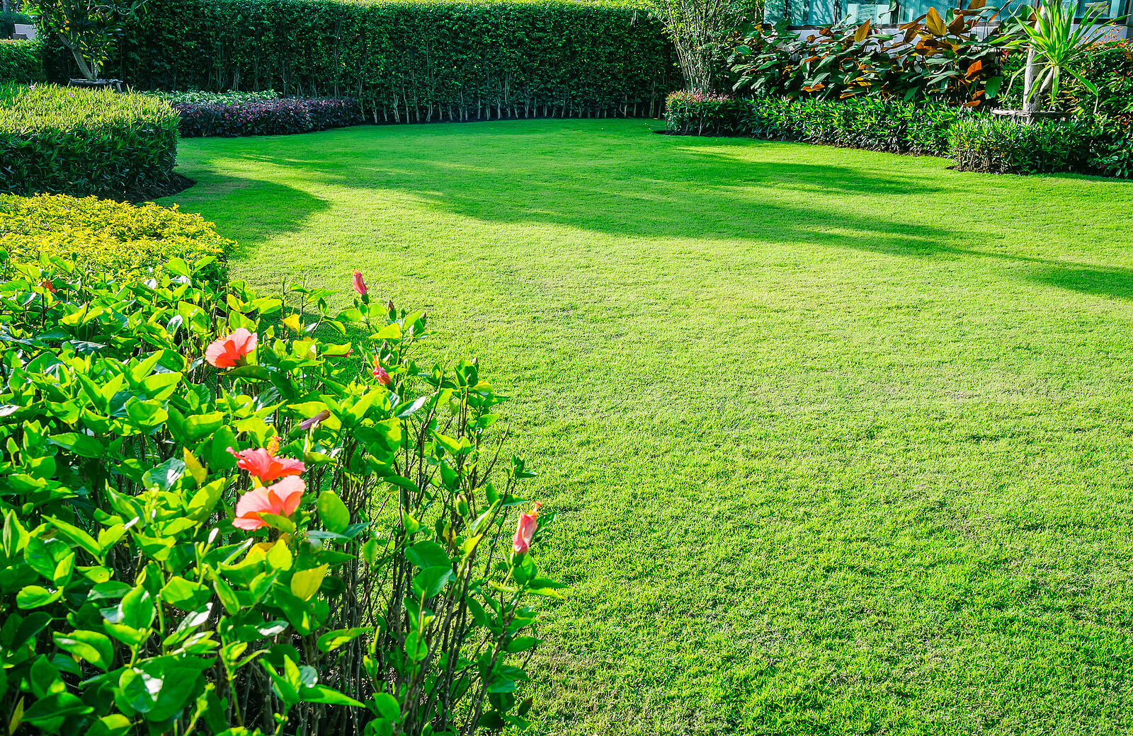 bigstock-Garden-With-Fresh-Green-Grass-471035183